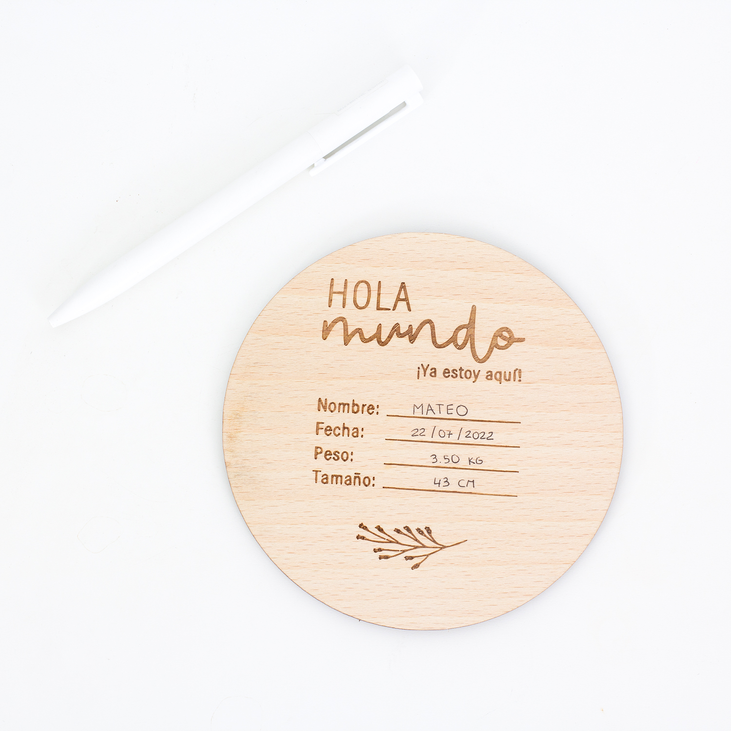 placa-hola-mundo-1
