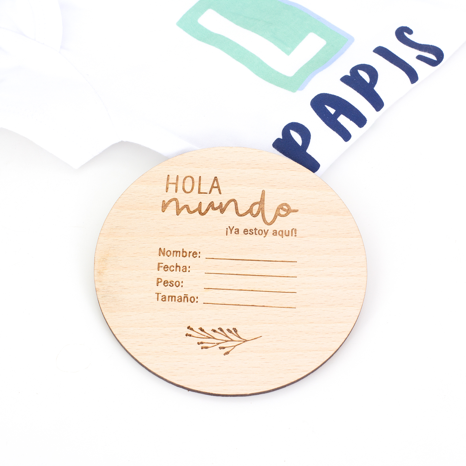 placa-hola-mundo-2
