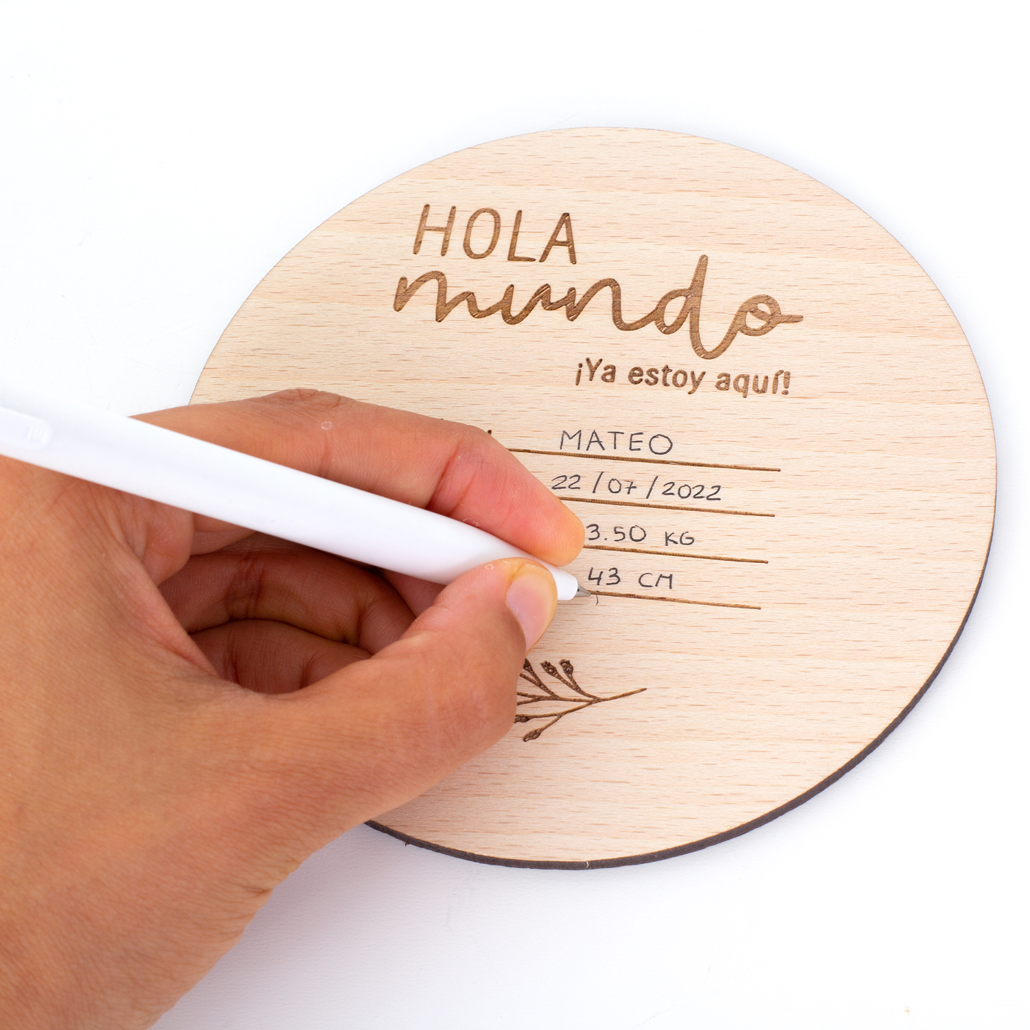 placa-hola-mundo